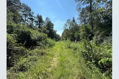 7795-00-10300 Assessor's Parcel Number 7795-00-10300, New Caney, TX 77357 - Photo 5