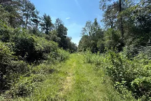 7795-00-10300 Assessor's Parcel Number 7795-00-10300, New Caney, TX 77357 - Photo 5