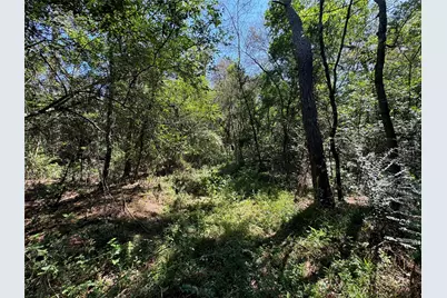 7795-00-10300 Assessor's Parcel Number 7795-00-10300, New Caney, TX 77357 - Photo 3