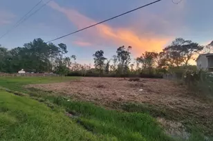 Tbd Coach Light Ln, New Caney, TX 77357 - Photo 5