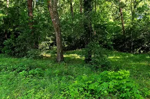 504 John Kolb Rd, Lufkin, TX 75901 - Photo 3