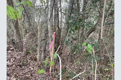 0 Dilling St, Alvin, TX 77511 - Photo 5