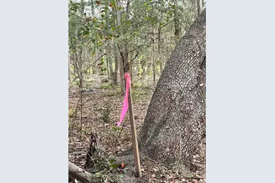 0 Dilling St, Alvin, TX 77511 - Photo 3