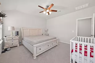 171 Ashe Juniper Wy, Magnolia, TX 77354 - Photo 19