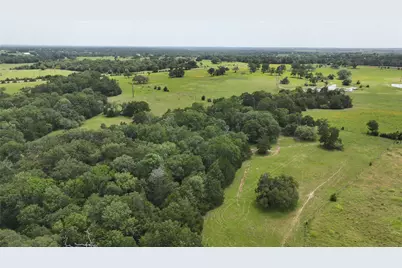 Tbd Greenvine Road, Brenham, TX 77833 - Photo 3
