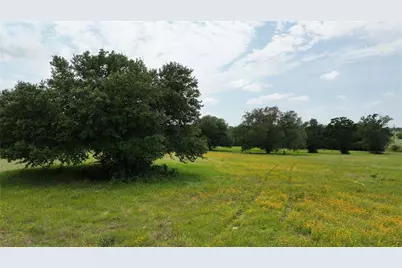 Tbd Greenvine Road, Brenham, TX 77833 - Photo 9