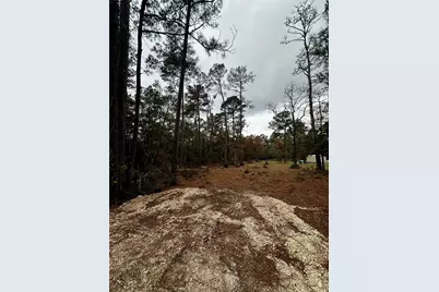 15172 Cherry Laurel Lane, Navasota, TX 77868 - Photo 3