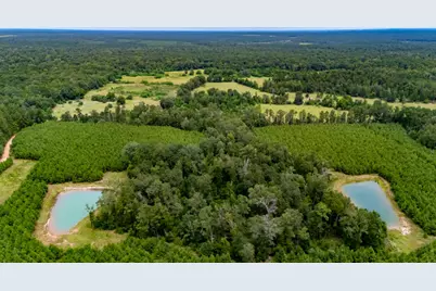 350 Rotan, Corrigan, TX 75939 - Photo 13