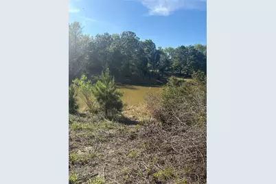 26770 Lake Shore Drive, Hempstead, TX 77445 - Photo 1