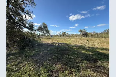 0 County Road 319, Brazoria, TX 77422 - Photo 3