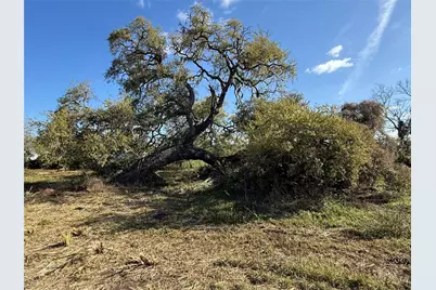 0 County Road 319, Brazoria, TX 77422 - Photo 1