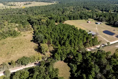 Tbd County Road 4090, Lovelady, TX 75851 - Photo 5