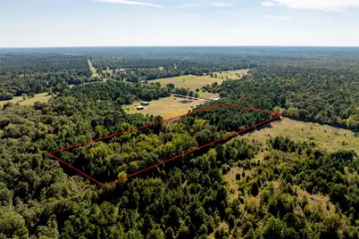 Tbd County Road 4090, Lovelady, TX 75851 - Photo 9