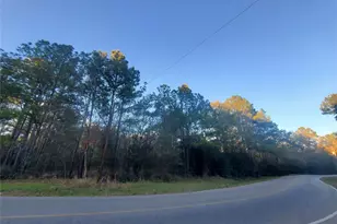 9 72+/- Acres Meador Rd, Conroe, TX 77303 - Photo 5