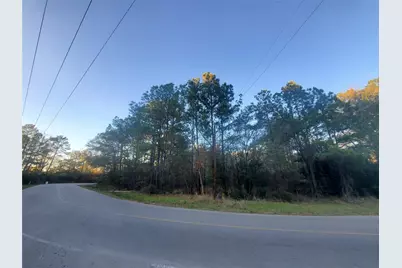 7.827+/- Acres Meador Road, Conroe, TX 77303 - Photo 5