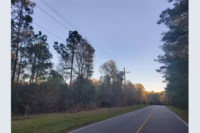 7.827+/- Acres Meador Road, Conroe, TX 77303 - Photo 3