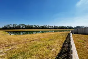 10006 Tiger Flower Ln, Houston, TX 70016 - Photo 19