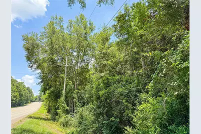 Tbd Hwy 69 N, Woodville, TX 75979 - Photo 5