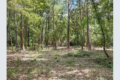 Tbd Hwy 69 N, Woodville, TX 75979 - Photo 19