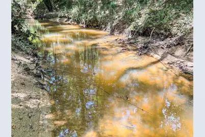 Tbd Hwy 69 N, Woodville, TX 75979 - Photo 13