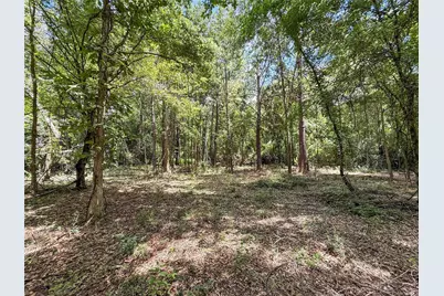 Tbd Hwy 69 N, Woodville, TX 75979 - Photo 21