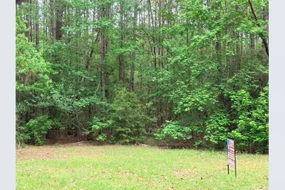 Tbd Forse Drive, Woodville, TX 75979 - Photo 11