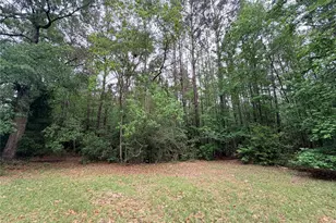 Tbd Forse Dr, Woodville, TX 75979 - Photo 1