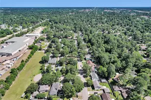 10 Brewster St, Conroe, TX 77301 - Photo 31