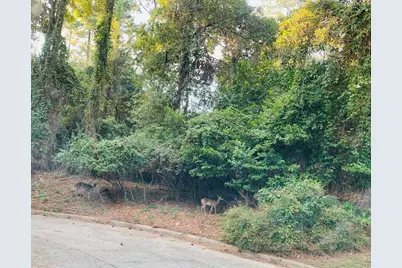 3007 Willowbend Road, Montgomery, TX 77356 - Photo 41