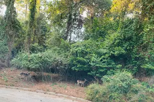 3007 Willowbend Rd, Montgomery, TX 77356 - Photo 41