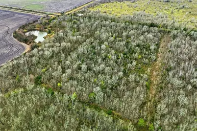 0 Tbd, County Road 146, Alvin, TX 77511 - Photo 9