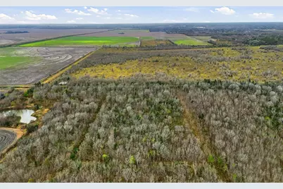 0 Tbd, County Road 146, Alvin, TX 77511 - Photo 11