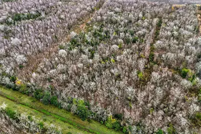 0 Tbd, County Road 146, Alvin, TX 77511 - Photo 7