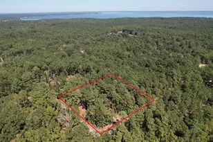 20 Morris Creek Rd, Coldspring, TX 77331 - Photo 27