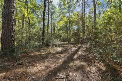 695 Piney Trail, Livingston, TX 77351 - Photo 3