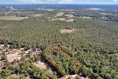 695 Piney Trail, Livingston, TX 77351 - Photo 5