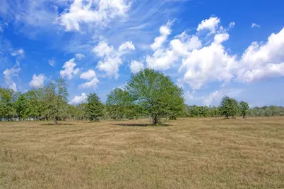 Lot 12 County Road 229, Bedias, TX 77831 - Photo 1