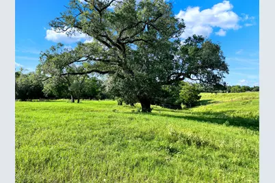 2230 County Road 201, Weimar, TX 78962 - Photo 5