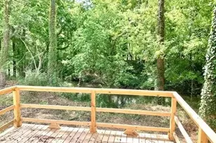 1001 County Rd 4110, Woodville, TX 75979 - Photo 3