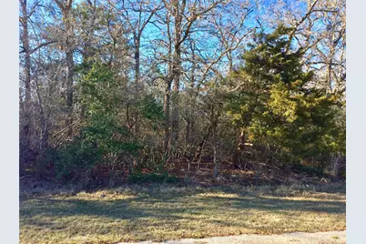 320 Alvina Ulich Street, Somerville, TX 77879 - Photo 13