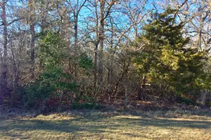 320 Alvina Ulich St, Somerville, TX 77879 - Photo 13