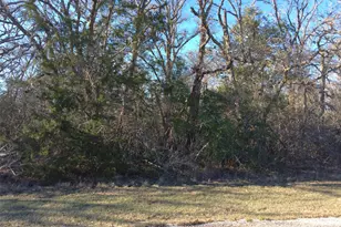 320 Alvina Ulich St, Somerville, TX 77879 - Photo 9