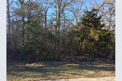 320 Alvina Ulich Street, Somerville, TX 77879 - Photo 3