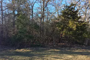 320 Alvina Ulich St, Somerville, TX 77879 - Photo 3