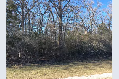 320 Alvina Ulich Street, Somerville, TX 77879 - Photo 7