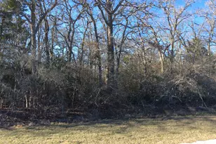 320 Alvina Ulich St, Somerville, TX 77879 - Photo 7