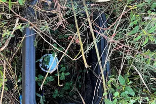 25303 Colette Ln, Porter, TX 77365 - Photo 9