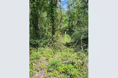 112 Brazil Boulevard, Huntsville, TX 77320 - Photo 1