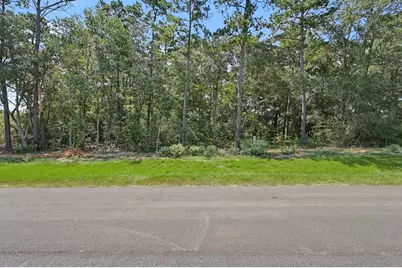 9726 Oakland Park Boulevard, Plantersville, TX 77363 - Photo 3
