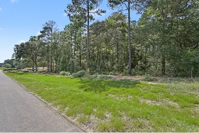 9726 Oakland Park Boulevard, Plantersville, TX 77363 - Photo 11